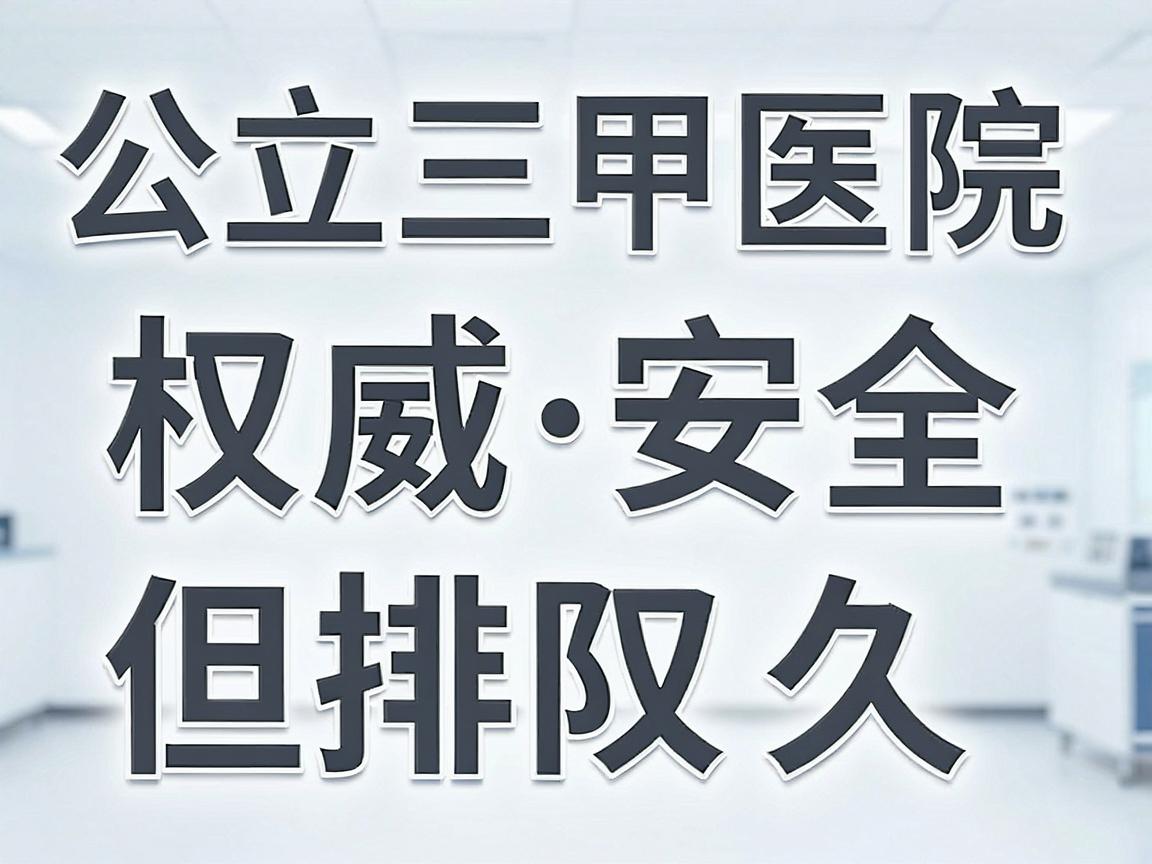 公立三甲医院（权威、安全、但排队久）